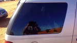 Passenger Quarter Glass 4 Door Privacy Tint Fits 02-03 Explorer 263709. Fixed Price $144.79.