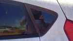 Driver Quarter Glass Hatchback Black Belt Moulding Fits 11-19 Fiesta 288417. Fixed Price $164.79.