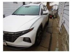 (local Pickup Only) Windshield Glass Without Automatic Defog Fits 22-24 Santa Cr. Fixed Price $244.90.