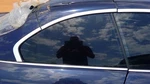 Passenger Right Quarter Glass Convertible Fits 15-20 Bmw M4 204691. Fixed Price $185.59.