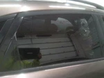 Passenger Right Rear Door Glass Fits 03-08 Infiniti Fx Series 1584696. Fixed Price $60.00.