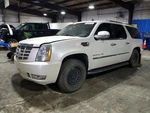 Used Front Right Door Window Regulator Fits: 2011 Cadillac Escalade Esv. Fixed Price $99.90.