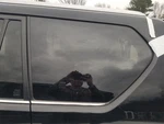 2014 Lexus GX460 Quarter Glass Left Driver. Fixed Price $200.00.