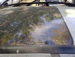 Roof Glass Station Wgn Rear Fits 09-14 Jetta 3603583. Fixed Price $95.00.