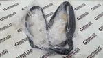 Genuine Toyota Prius Plug-in Hybrid 2017-2022 Front Left Side Door Rubber Seal. Fixed Price $37.31.
