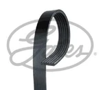 V-belt Gates 6PK1803 Buick Chevrolet Ford Jeep Opel. Fixed Price $34.31.