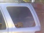 Driver Left Quarter Glass Privacy Tint Fits 08-12 Escape 3643741. Fixed Price $50.00.