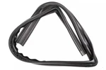 Genuine Gm Driver Side Door Window Weatherstrip 95980741. Fixed Price $138.52.