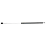 Back Glass Lift Support Strong Arm 4799. Fixed Price $45.99.