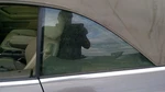 Driver Left Quarter Glass Convertible Fits 03-09 Audi A4 260482. Fixed Price $184.79.