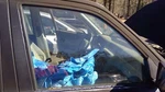 1997 - 2001 Honda Crv Front Door Glass Rh Passenger Side Oem 73300S10A00. Fixed Price $97.99.