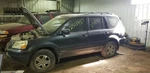 Back Glass With Privacy Tint Fits 03-08 Pilot 2116965. Fixed Price $118.75.