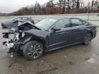 Sonata 2025 Back Glass 661448. Fixed Price $175.00.