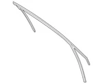 Genuine Ford Run Channel HS7Z-5421597-B. Fixed Price $166.85.