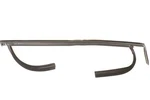 New Oem Ford Front Left Door Glass Channel Run DM5Z-5821597-A Focus 12-15. Fixed Price $134.25.