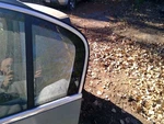 Driver Left Rear Door Vent Glass Sedan Fits 06-10 Passat 3762924. Fixed Price $35.00.