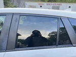 (local Pickup Only) Driver Left Rear Door Glass Privacy Tint Fits 13-16 Mazda Cx. Fixed Price $143.73.
