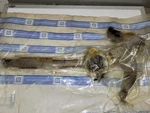 New Gm Oem Left Frt Manual Window Regulator Apv Trans Sport Silhouette 10157673. Fixed Price $89.99.
